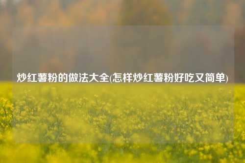 炒红薯粉的做法大全(怎样炒红薯粉好吃又简单)
