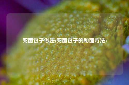 死面包子做法(死面包子的和面方法)