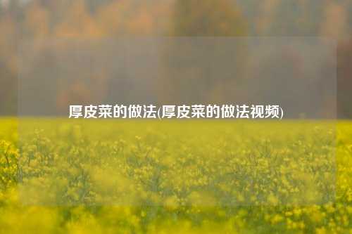 厚皮菜的做法(厚皮菜的做法视频)