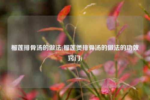 榴莲排骨汤的做法(榴莲煲排骨汤的做法的功效窍门)