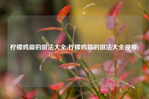 柠檬鸡脚的做法大全(柠檬鸡脚的做法大全视频)