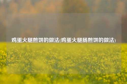 鸡蛋火腿煎饼的做法(鸡蛋火腿肠煎饼的做法)