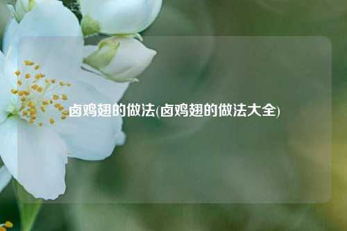 卤鸡翅的做法(卤鸡翅的做法大全)