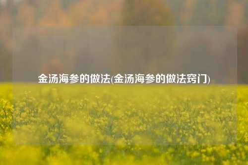 金汤海参的做法(金汤海参的做法窍门)