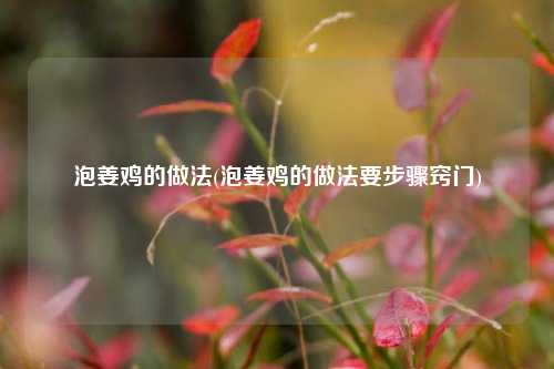 泡姜鸡的做法(泡姜鸡的做法要步骤窍门)