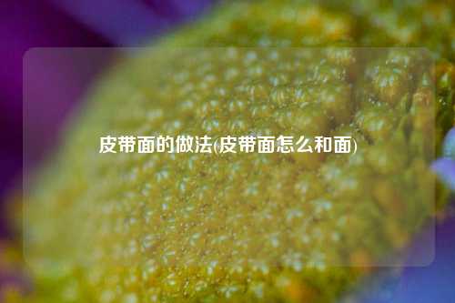 皮带面的做法(皮带面怎么和面)