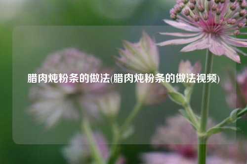 腊肉炖粉条的做法(腊肉炖粉条的做法视频)