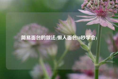 简易面包的做法(懒人面包10秒学会)