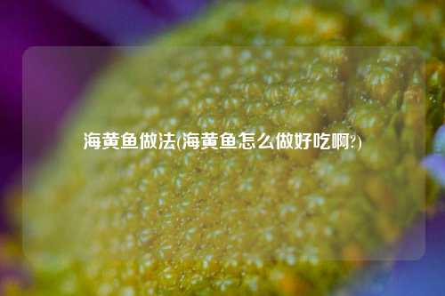 海黄鱼做法(海黄鱼怎么做好吃啊?)